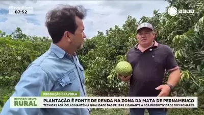 Graviola se torna fonte de renda essencial para agricultores familiares na Zona da Mata de Pernambuco