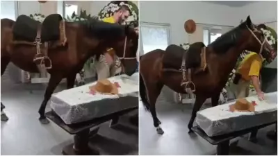 Égua relincha e emociona família durante velório do dono em Blumenau