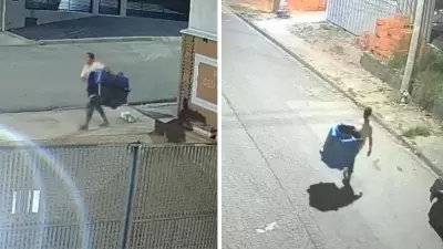 Homem furta casinha de cachorro comunitário em Sorocaba; veja vídeo