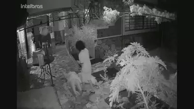 Idosa é agredida por hóspede em pousada de Planaltina; câmeras registram violência