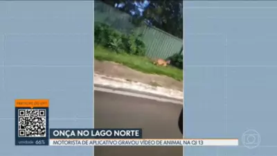 Incêndio de Grandes Proporções Devasta Área de Preservação no Distrito Federal