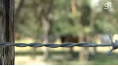 Maranhão lidera conflitos por terra no Brasil em 2025, aponta CPT