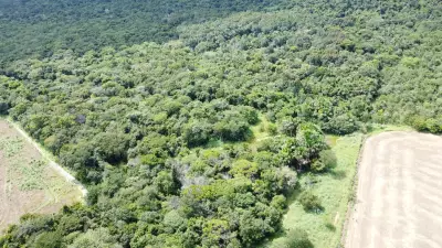 Mecânico sobrevive 20 dias perdido em mata densa do Tocantins graças a treinamento de brigadista