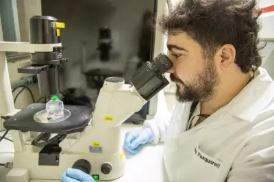 Ômega-3 DHA demonstra potencial no combate ao câncer de ovário em estudo da UnB