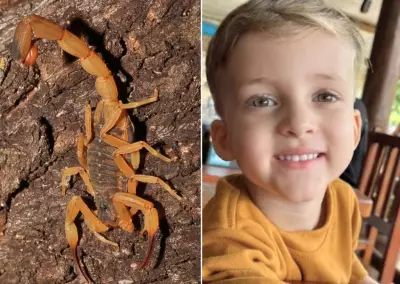 Menino de 3 anos morre após receber soro antiescorpiônico com mais de 4 horas de atraso em Conchal, SP