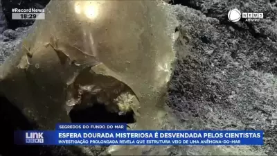 Mistério da esfera dourada no fundo do mar é desvendado por cientistas