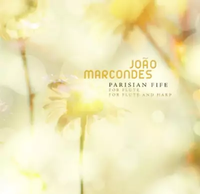 Música e Democracia: Como a Arte Pode Aquecer os Dias de Frio Político no Brasil