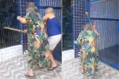 Mulher é filmada agredindo cachorra a pauladas em Praia Grande, SP; animal foi resgatado