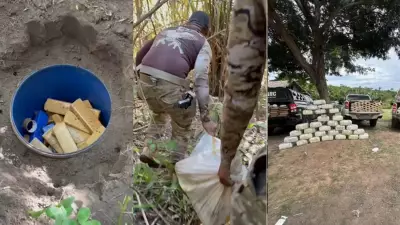 Novo tonel com maconha é encontrado em sítio no Maranhão; apreensões superam 700 kg