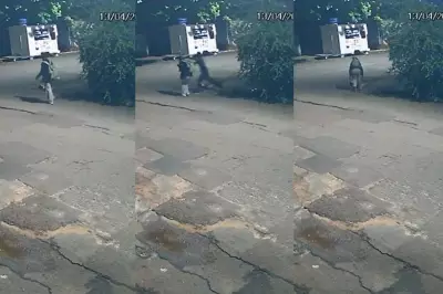 Onda de violência contra mulheres em MS: 6 casos graves em 3 dias, com 2 mortes