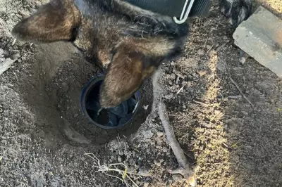 Operação Brooklyn prende 16 suspeitos em Taubaté, Tremembé e Pinda