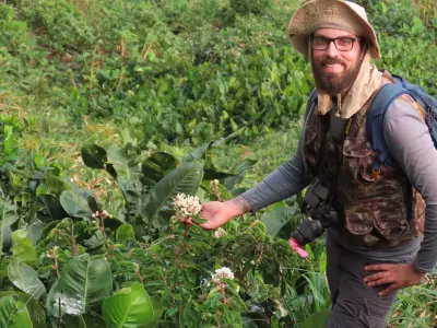 Planta brasileira desaparecida há 100 anos é redescoberta em arquipélago de São Paulo