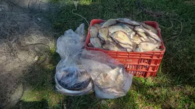 Polícia Ambiental apreende 68 kg de peixes e 1,5 km de redes em Araçatuba