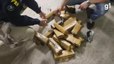 Polícia apreende 21 tijolos de maconha ocultos em tanque de combustível na BR-290