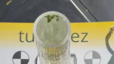 Poluição no Rio Tietê em Araçatuba piora com aumento de nitrato e fosfato