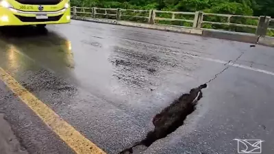Ponte do Caratatiua em São Luís apresenta rachaduras e buracos que preocupam motoristas