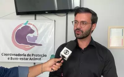 Prefeitura de Alpinópolis vai distribuir ração para tutores e protetores de animais