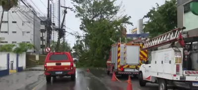 Queda de árvore interdita Avenida Júlia Freire em João Pessoa após chuvas