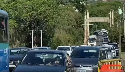 Renovação automática da CNH beneficia 16.642 motoristas na região de Piracicaba