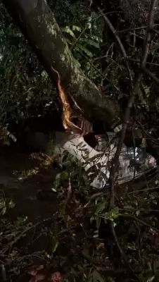 Árvore cai sobre carro durante temporal no Rio de Janeiro, motorista fica preso