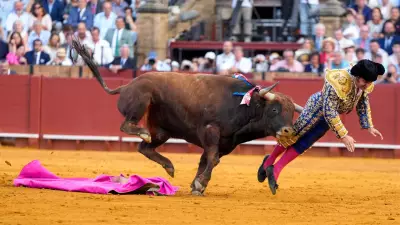 Toureiro espanhol Morante de la Puebla sofre grave ferida anal por touro em Sevilha