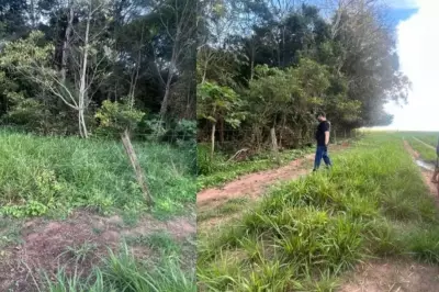 Três jovens desaparecidos são encontrados mortos em Campo Novo do Parecis; dois suspeitos presos