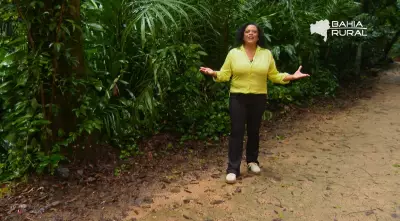 Vídeos do G1 e TV Bahia: Domingo, 26 de Abril de 2026