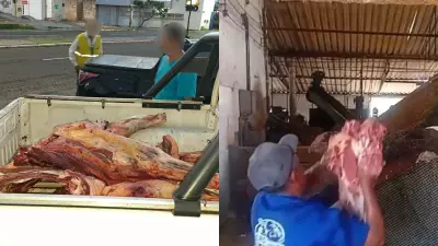 Vigilância Sanitária apreende 230 kg de carne bovina irregular em Teresina