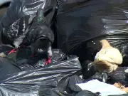 Acúmulo de lixo persiste em Santa Bárbara d'Oeste apesar de nova empresa