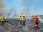 Acre contrata 50 brigadistas comunitários para combater incêndios florestais no período de estiagem