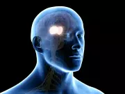 Ambiente influencia mais o envelhecimento cerebral do que fatores isolados, revela estudo internacional