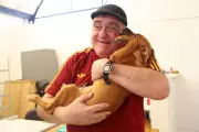 Aposentado que perdeu esposa e pet adota cão caramelo após ver foto na internet