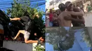 Atletas de parkour realizam salto arriscado sobre valão com jacarés no Rio de Janeiro
