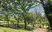 Aulão de defesa pessoal feminina no Parque Ibirapuera neste domingo