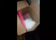 Bebê recém-nascido é abandonado em caixa de papelão em Barra de Guabiraba, PE