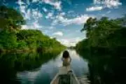 BNDES lança primeira concessão florestal federal na Amazônia, com investimentos de R$ 77 milhões