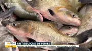 Bom Dia Amazonas destaca notícias locais e nacionais nesta sexta-feira
