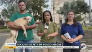 Bom Dia Cidade Sul de Minas apresenta notícias locais nesta sexta-feira, 10 de abril de 2026