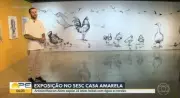 Bom Dia PE de Terça-feira: Notícias e Atualizações de Pernambuco em 14 de Abril de 2026