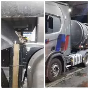 Bombeiros resgatam jiboia dentro de caminhão-tanque em posto de combustíveis em Montes Claros