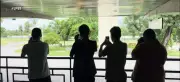 Busologia: Jovens de João Pessoa Transformam Paixão por Ônibus em Hobby e Comunidade