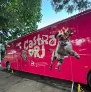 Cabo Frio recebe programa gratuito de castração para cães e gatos até 20 de abril