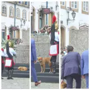 Cachorro caramelo rouba a cena na cerimônia da Medalha da Inconfidência em Ouro Preto