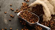 Café brasileiro se transforma: de grão a cookies, mel e cosméticos