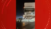 Caminhão colide com bois soltos na BR-156 durante a madrugada no Amapá