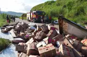 Caminhão com carne suína capota na BR-356 e carga é saqueada por populares em Muriaé