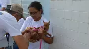 Campanha de vacinação contra raiva atinge zonas rurais Sul e Sudeste de Teresina neste sábado