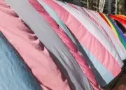 Campo Grande sanciona lei que restringe uso de banheiros femininos por mulheres trans