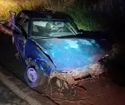 Capotamento na BR-354 deixa três pessoas em estado grave, incluindo criança de 2 anos
