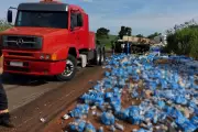 Carga de cerveja cai de carreta e interdita rodovia SP-563 em Mirante do Paranapanema